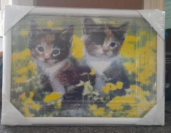 Telas e quadros em canvas emoldurados pela GJ Molduraria