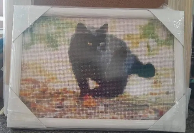 Telas e quadros em canvas emoldurados pela GJ Molduraria